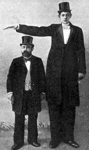 Illustration for article titled In search of the world's tallest human
